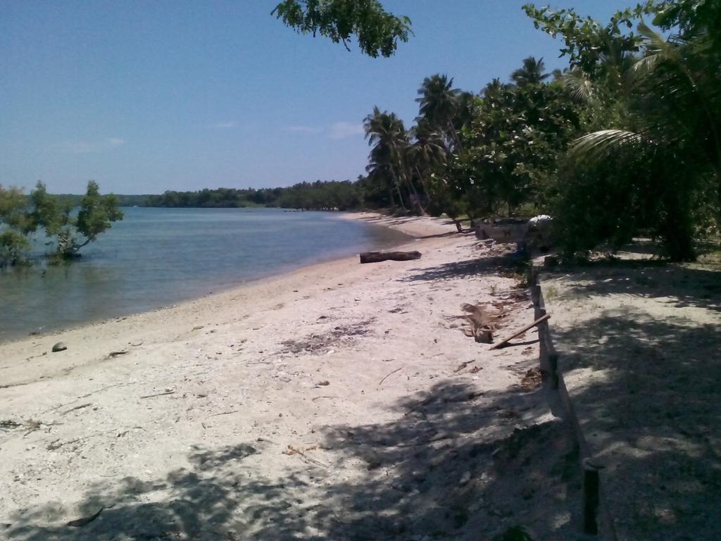 Buco Beach Resort Siquijor Bagian luar foto